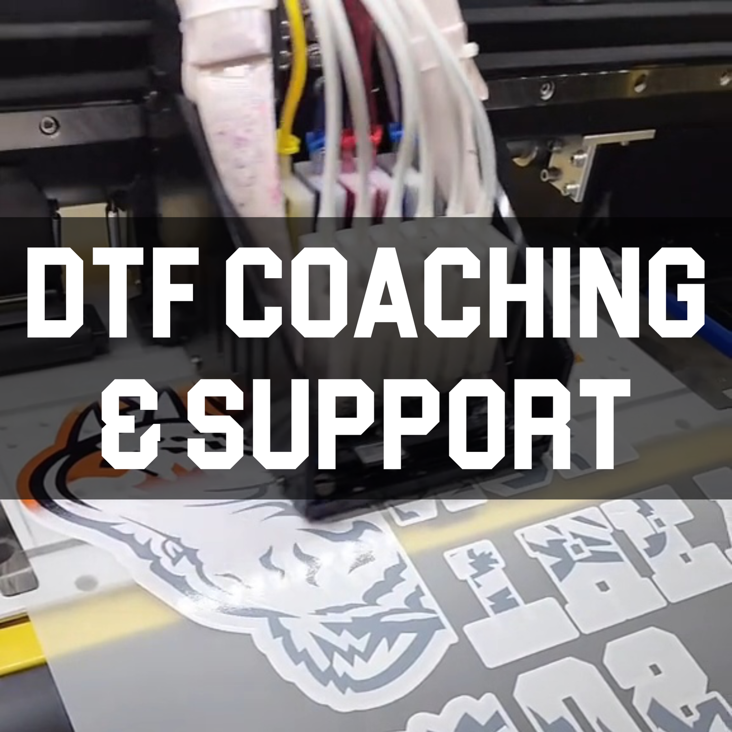 DTF Coaching & Support